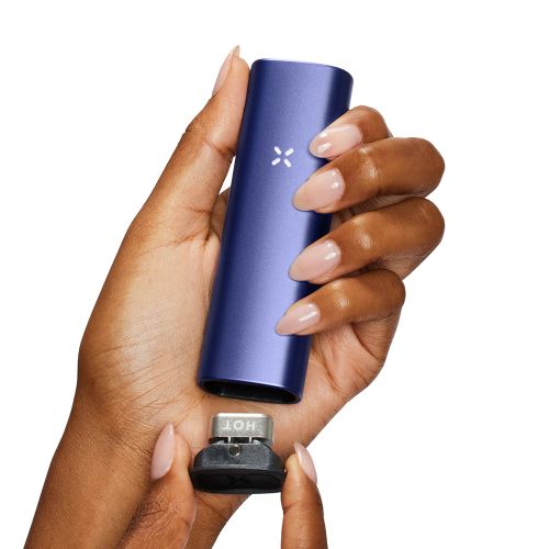 PAX PLUS